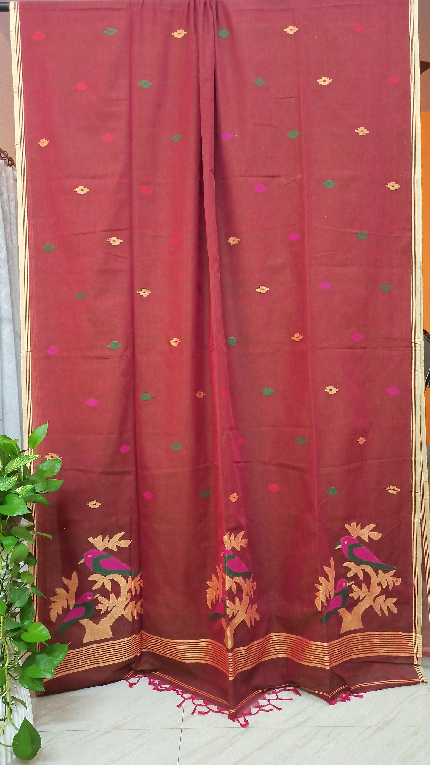 Pure Cotton Handloom Jamdami Saree.
