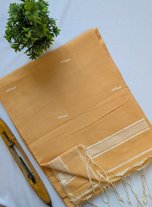 Mul Cotton Handloom Saree