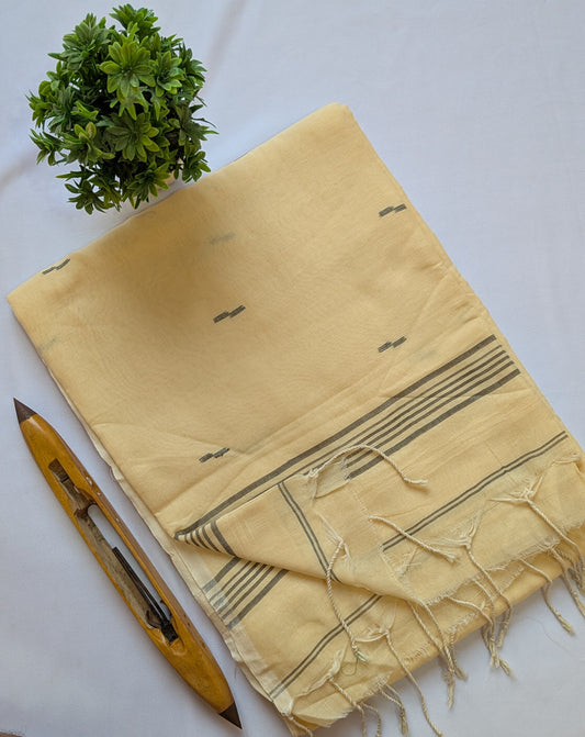 Mul Cotton Handloom Saree