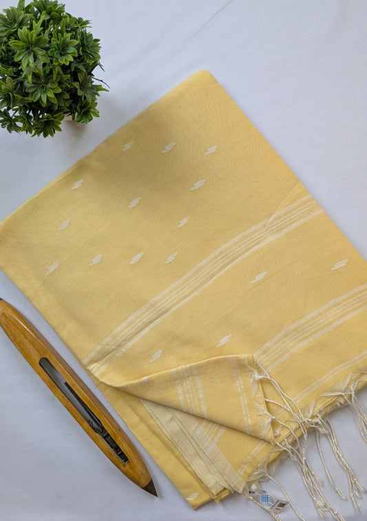 Mul Cotton Handloom Saree